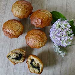 MUFFINS-PATE-A-TARTINER-HOOPE