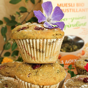 MUFFINS-CHOCOLAT-BLANC-CRANBERRIES-MUESLI-HEALTHY