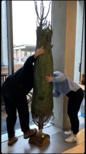 Bérengère Clara Sapin