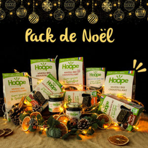 Vignette pack noel