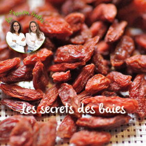 TEAM NUTRITION BAIE DE GOJIE CRANBERRY