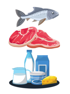 DDM DLC ANTI GASPILLAGE