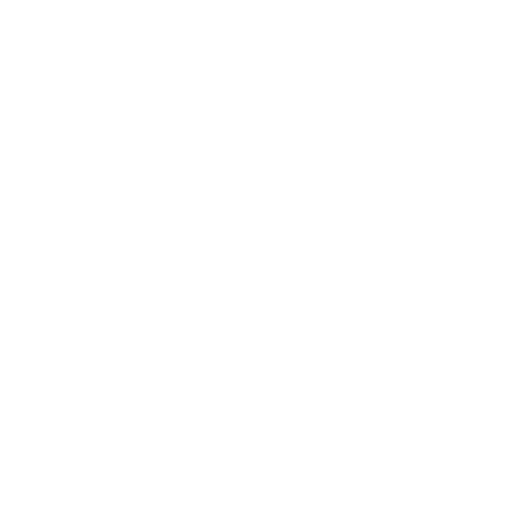icône d'un fouet